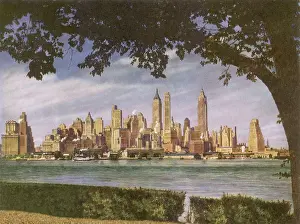 Hedges: Manhattan Skyline