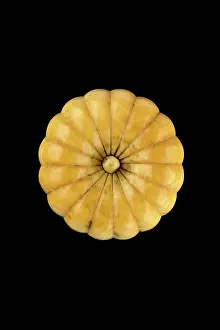 Manju: Manju netsuke in the form of a stylised chrysanthemum