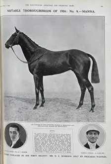 Thoroughbreds: Manna, a Racehorse