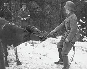 Mannerheim: Mannerheim line WWII