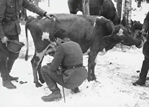 Mannerheim: Mannerheim line WWII