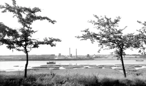 Stour: Manningtree, River Stour c1955