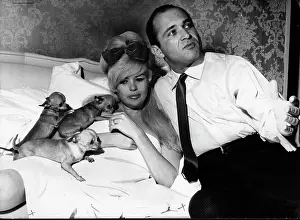 Jayne: Mansfield In Bed With Pups
