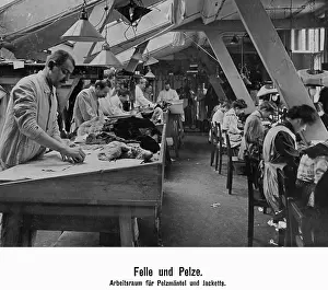 Jackets: Manufacture of hides and furs, 1908