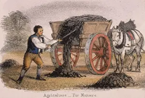 Utility: The manure cart. From Graphic Illustrations of