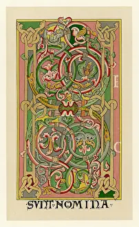 Interlacing: MANUSCRIPT / C12 BIBLE