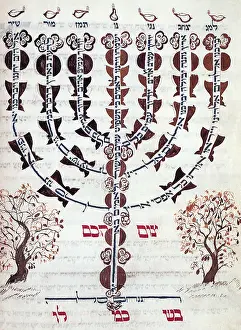 Centers: Manuscript Menorah