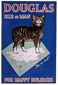 Manx: MANX CAT ADVERTISEMENT