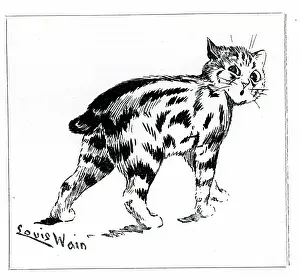 Manx: Manx Cat, by Louis Wain