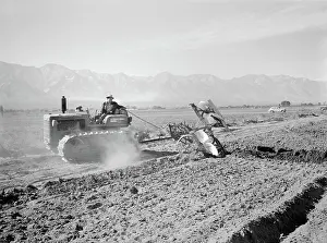 Manzanar: Manzanar War Relocation Center - World War II