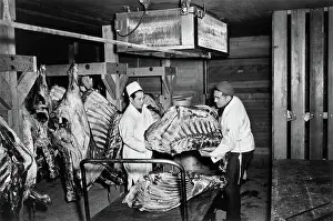 Carcasses: Manzanar War Relocation Center - World War II
