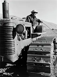 Manzanar: Manzanar War Relocation Center - World War II