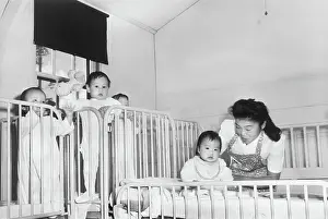 Cribs: Manzanar War Relocation Center - World War II