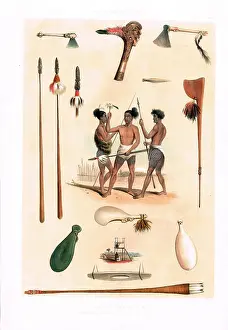 Maoris: Maori Weapons and Implements of War