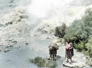 Gourds: MAORIS COLLECTING WATER