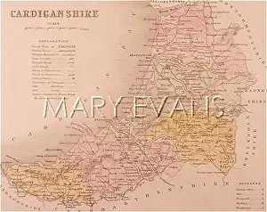 Cardiganshire: MAP/CARDIGANSHIRE C1857