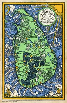 Plantations: Map of Ceylon showing tea industry plantations