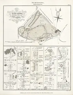 Lowry: Map of an estate surveyed and delineated using a theodolite