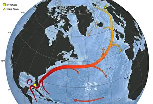 Drift: Map of Gulf Stream and North Atlantic Current