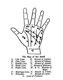 Palmistry: THE MAP OF THE HAND