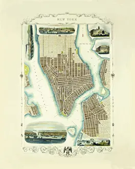 Tallis: Map of New York, 1851