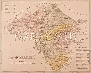 Radnorshire: MAP/RADNORSHIRE C1857