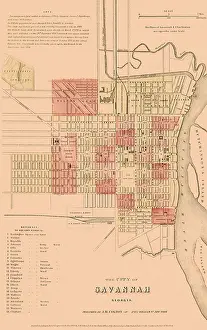 Chatham: Map of Savannahnon1865