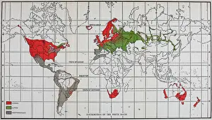 Stoddard: Map showing the Distribution of White Race in