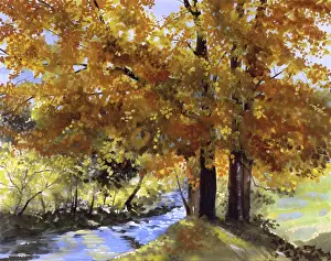 Sparking: Maple Fall
