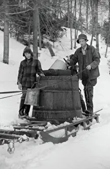 Syrup: Maple Syrup - Occupations - Man - Boy