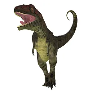 Menacing: Mapusaurus dinosaur, front view on white background