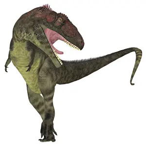 Cenomanian: Mapusaurus dinosaur, white background