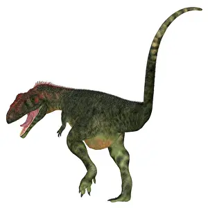 Aggressive: Mapusaurus dinosaur, white background