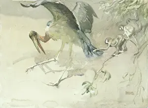 Sheppard: Marabou Stork and Monkeys