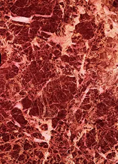 Polished: Marble