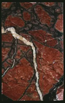 Metamorphic: Marble, Africano Sanguigno