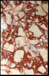 Mineralogy: Marble, Breccia Coallina Rosa