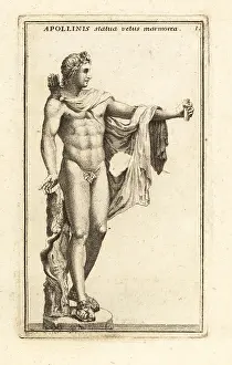 Il Cannetti: Marble statue of Apollo Belvedere
