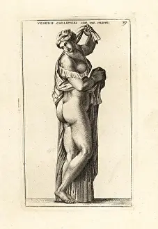 Buttocks: Marble statue of Venus Callipyge