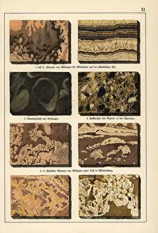 Gotthilf: Marble varieties