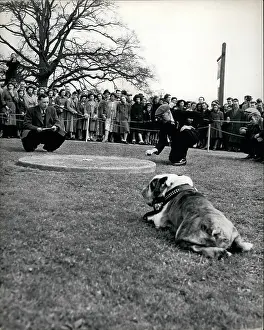 Marbles: Marbles championship, Tinsley Green, Surrey-Sussex border