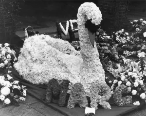 Glam: MARC BOLAN'S FUNERAL