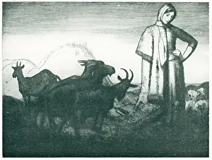Schwabe: Marcela