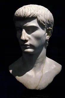 Marcello: Marcello. Bust. Marble. 1st century B.C