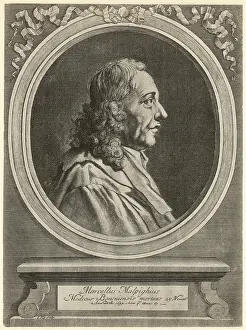 Malpighi: MARCELLO MALPIGHI