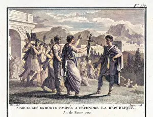 Pompeius: MARCELLUS SENT TO POMPEY