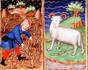 Bedford: March. Astrological sign of Aries. Pruning. From