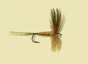 Atherton: March Brown Fly