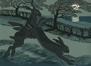 March Moonlight - Boxing Hares