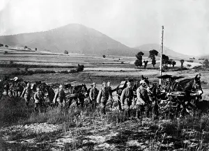 Mules: Marching machine gun company, 1915